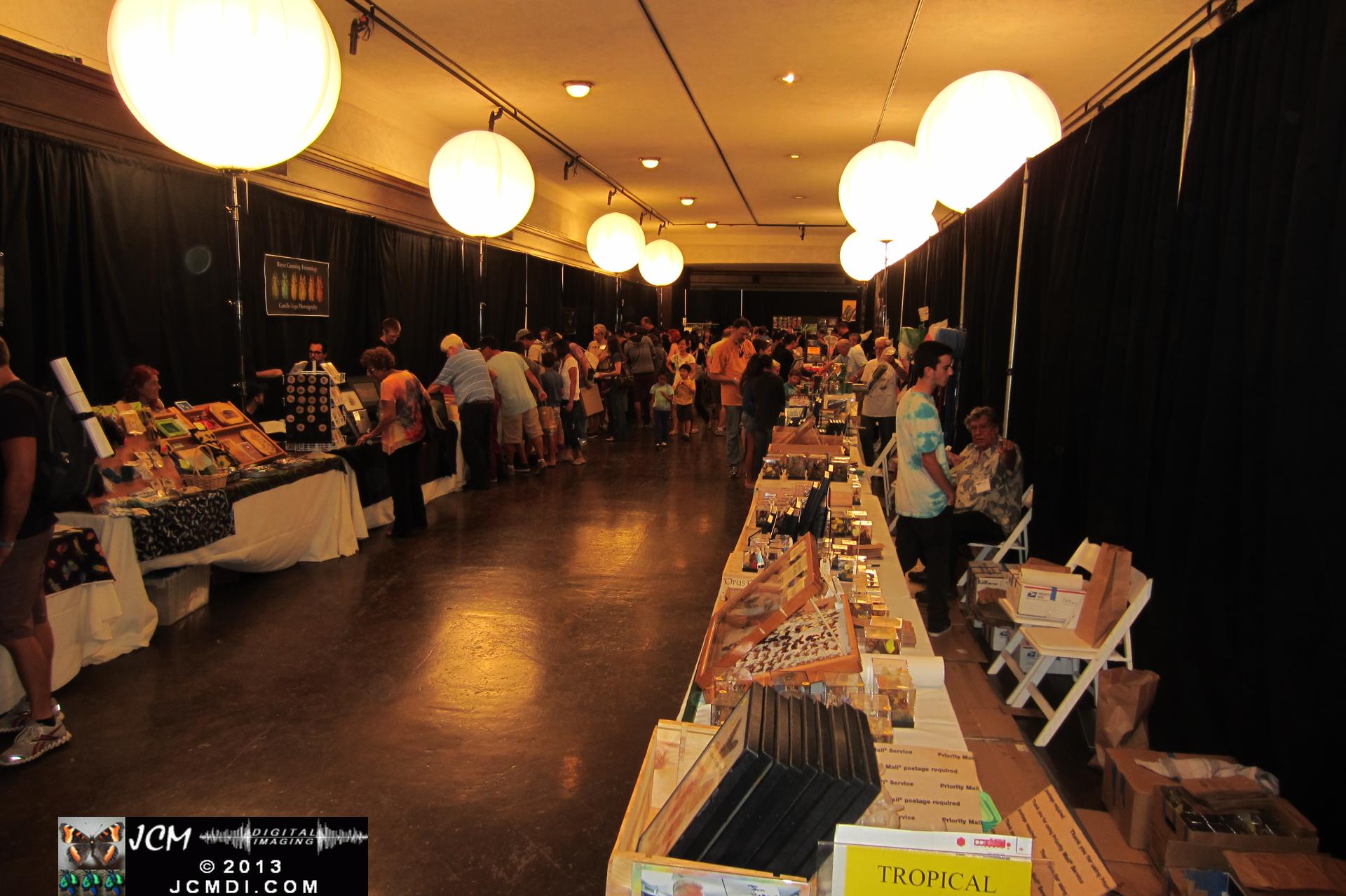 LANHM Bug Fair 2013 crowds and displays